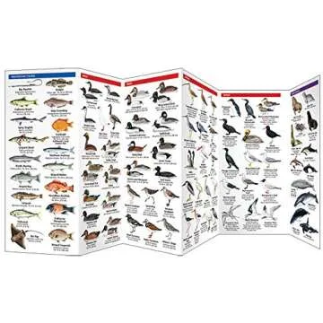 California Seashore Life: A Folding Pocket Guide to Familiar Plants & Animals (A Pocket Naturalist Guide)