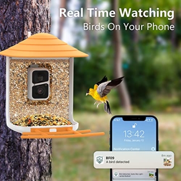 Soliom BF09 Bird Feeder with Camera for Bird Watching
