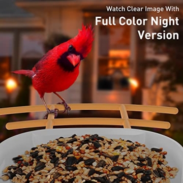 Soliom BF09 Bird Feeder with Camera for Bird Watching