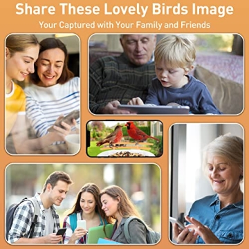 Soliom BF09 Bird Feeder with Camera for Bird Watching