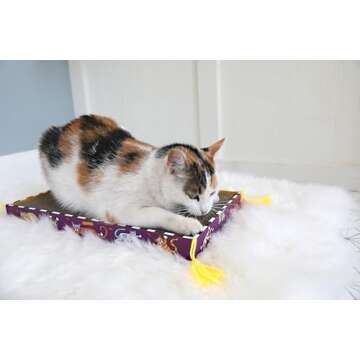 FAT CAT Big Mama's Scratch Box with Organic Catnip