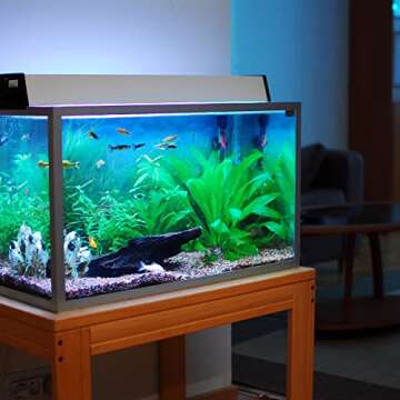 Akfix 100AQ Aquarium Silicone Sealant Clear (1x10.1 fl. oz.) - 100% Silicone, Waterproof Aquarium Sa...