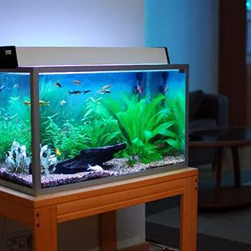 Akfix 100AQ Aquarium Silicone Sealant Clear (1x10.1 fl. oz.) - 100% Silicone, Waterproof Aquarium Sa...