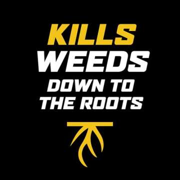 Ortho WeedClear Weed Killer: Safe for Lawns, Fast Results, 32 oz.