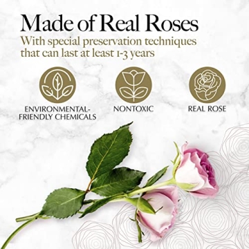 GLAMOUR BOUTIQUE 16-Piece Preserved Rose Gift Box