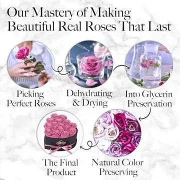 GLAMOUR BOUTIQUE 16-Piece Preserved Rose Gift Box