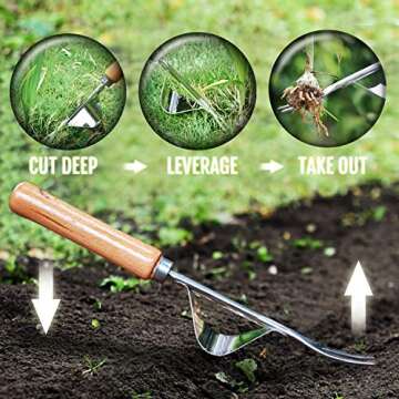Betus Manual Hand Weeder - Bend-Proof Leverage Base for Super Easy Weed Removal & Deeper Digging - S...