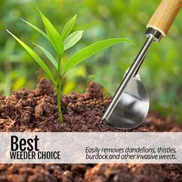 Betus Manual Hand Weeder - Bend-Proof Leverage Base for Super Easy Weed Removal & Deeper Digging - Sturdy Chrome Plated Steel - Compact Garden Weed Puller Tool for Yard Lawn and Farm
