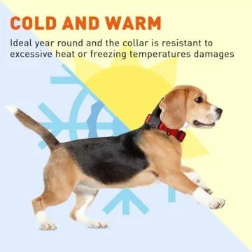 Dogline Waterproof Dog Collar - Durable & Easy to Clean