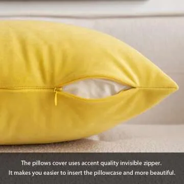 MIULEE Pack of 2 Velvet Soft Solid Decorative Square Throw Pillow Covers Set Cushion Case for Fall Sofa Bedroom Car 20x20 Inch 50x50 Cm