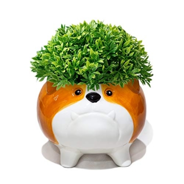 Succulent Pots with Drainage - Small Succulent Planter Handmade Original Ceramic Plant Pot Indoor - ...