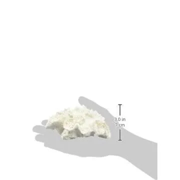 Abbott Collection 20-SEASHORE/33 Small White Flower Coral Decorative Resin Figurine