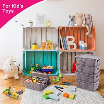 AREYZIN Lidded Storage Bins for Effortless Organization