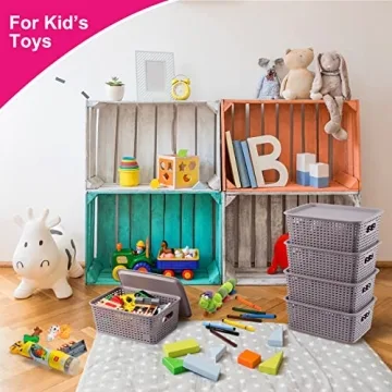 AREYZIN Lidded Storage Bins for Effortless Organization