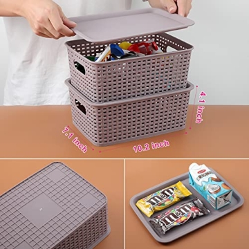 AREYZIN Lidded Storage Bins for Effortless Organization