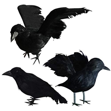 FUNPENY Halloween Black Feathered Crows, 3 Pack Black Crows with Real Feather Halloween Decoration for Indoor Outdoor