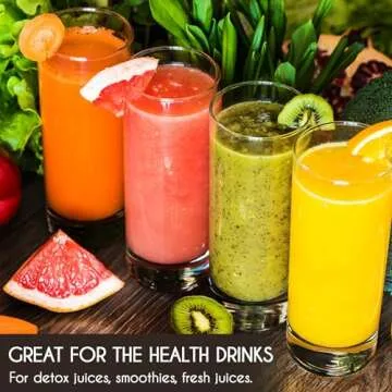 Volarium Highball Glasses with Heavy Base, Clear Drinking Glasses Set for Water, Juice, Cocktails, Wine, Beer, and Whiskey, 12 1/4 Ounce, Set of 6 (Highball Glasses)