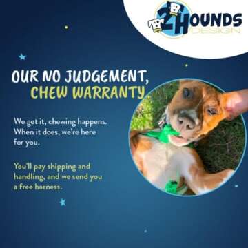 2 Hounds Design Freedom No Pull Dog Harness, Adjustable Harness, Easy Walking & Comfortable Control, Fits Small, Medium & Large Dogs, Solid Colors, Made in USA, 5/8" MD, Turquoise