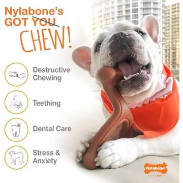 Nylabone 2 Pack of Power Chew Extreme Chewing Braided Bully Stick Alternative Dog Toys, Giant, Made in The USA2