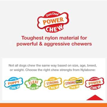 Nylabone 2 Pack of Power Chew Extreme Chewing Braided Bully Stick Alternative Dog Toys, Giant, Made in The USA2
