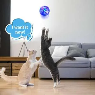 Sratte 2 Pcs Cat Ball Ghost Hunting Light up Cat Balls Toys Motion LED Motion Activated Flash Glowing Lighted Dog Interactive Toys Pet(Clear)