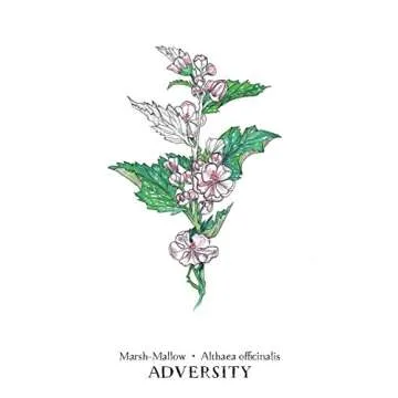 Hedgewitch Botanical Oracle Deck: Nature's Intuitive Guide