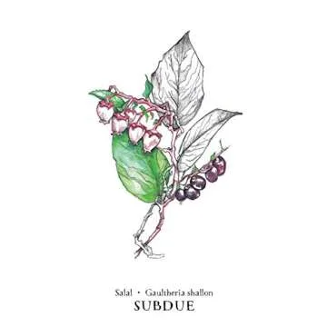 Hedgewitch Botanical Oracle Deck: Nature's Intuitive Guide