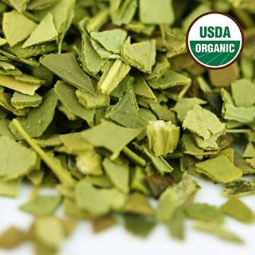 Energy-Boosting Organic Yerba Mate Tea 1LB Bag