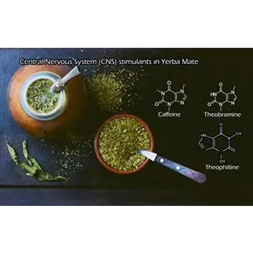 Energy-Boosting Organic Yerba Mate Tea 1LB Bag