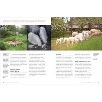 Temple Grandin's Guide to Working with Farm Animals: Safe, Humane Livestock Handling Practices for the Small Farm