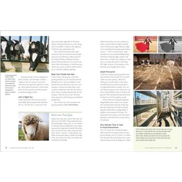 Temple Grandin's Guide to Working with Farm Animals: Safe, Humane Livestock Handling Practices for the Small Farm