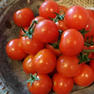 Gaea's Blessing Tomato Seeds - Sweet Red Cherry Variety