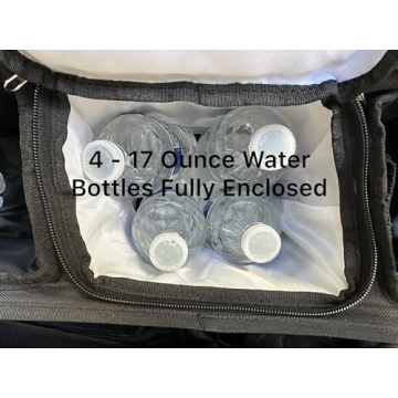 Double Stroller Organizer for Bob Duallie & City Mini GT