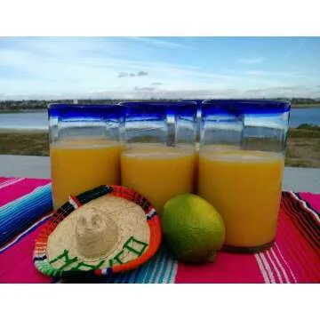 Hand Blown Mexican Glasses Set of 6 with Blue Rims