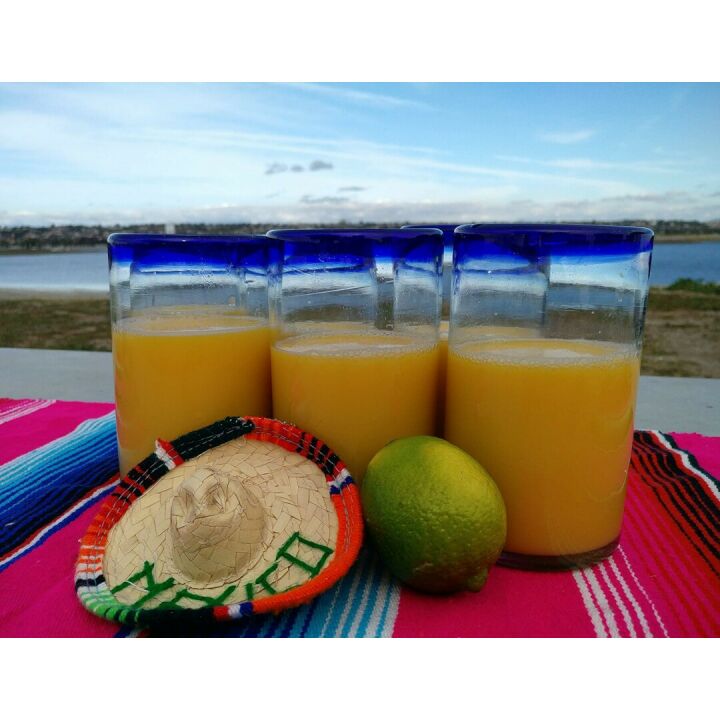 Hand Blown Mexican Glasses Set of 6 with Blue Rims