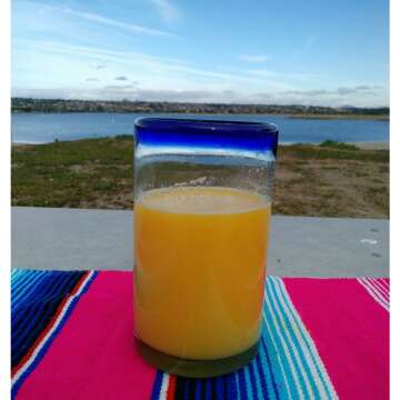 Hand Blown Mexican Glasses Set of 6 with Blue Rims
