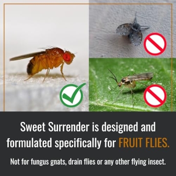 Dr. Killigan's Sweet Surrender Fruit Fly Trap for Home