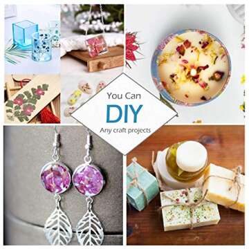 Natural Dried Flowers for DIY Crafts, 114PCS Kit