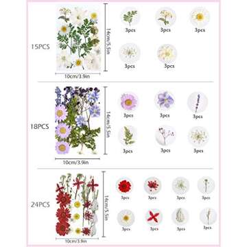 Natural Dried Flowers for DIY Crafts, 114PCS Kit