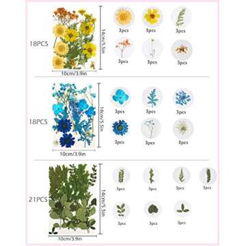 Natural Dried Flowers for DIY Crafts, 114PCS Kit