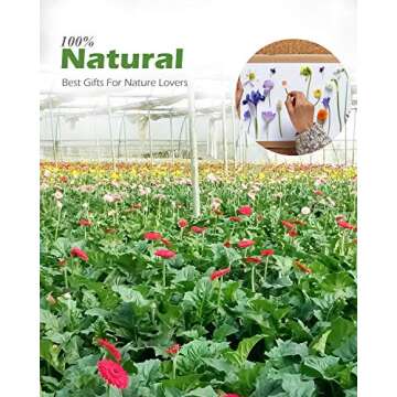 Natural Dried Flowers for DIY Crafts, 114PCS Kit