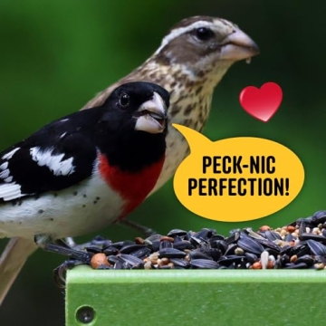 Cool Birds Wild Bird Seed - Attract All Birds Year-Round