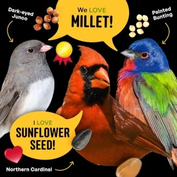 Cool Birds Wild Bird Seed - Attract All Birds Year-Round