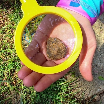 Get Out! Magnifying Glasses for Classroom 6 Pack