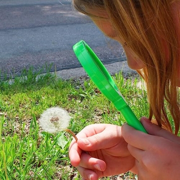 Get Out! Magnifying Glasses for Classroom 6 Pack
