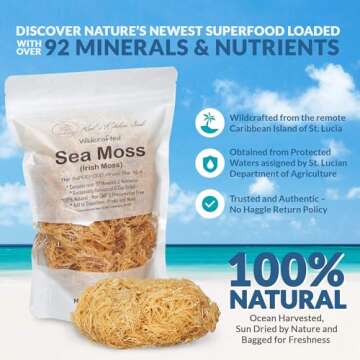 Irish Sea Moss | Seamoss | 1 Pound | Wildcrafted - 100% Natural, Makes 240+ oz of Sea Moss Gel, from St. Lucia - 16oz