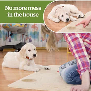 Eco-Friendly Dog Training Pads with Adhesive Tabs by Pogi
