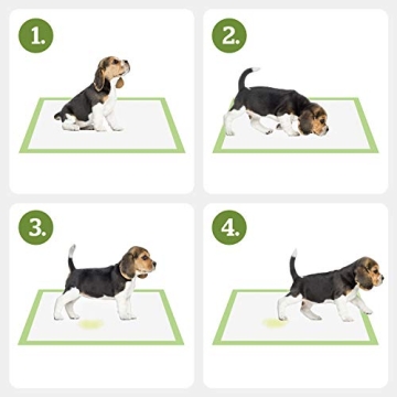 Eco-Friendly Dog Training Pads with Adhesive Tabs by Pogi