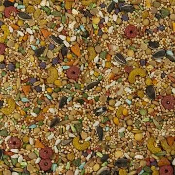 Wild Harvest Cockatiel Food - Seed & Grain Mix 8lbs