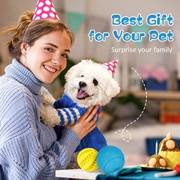 HIPPIH Dog Puzzle Toys 2 Pack for Interactive Play